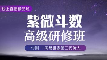 紫微斗数高级研修班2020年第一期-付刚老师