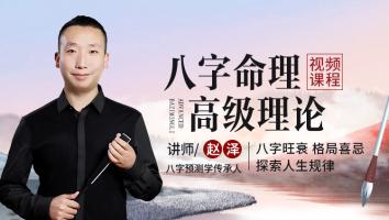 八字高级理论视频课