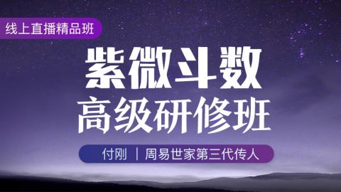 紫微斗数高级研修班2020年第一期-付刚老师【直播回放】