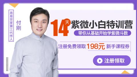 14天紫微小白特训营