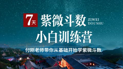 7天紫微小白特训营