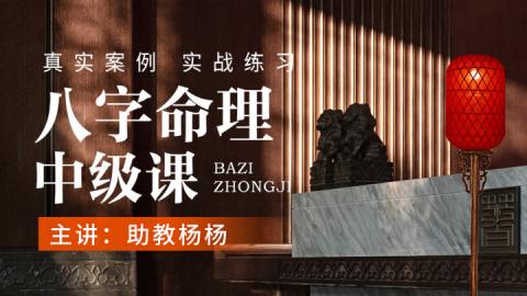 【直播回放】第17期 八字命理中级案例课-杨杨