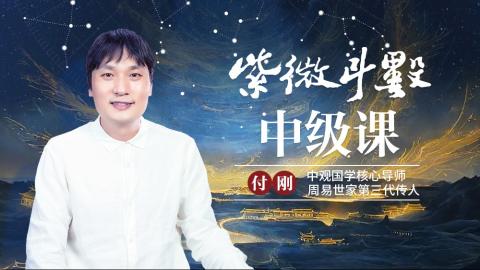 【直播回放】251紫微斗数中级进阶班-付刚老师