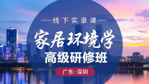 家居环境学高级研修班2020年第六期深圳-王进武老师【线下实录】