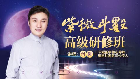 251紫微斗数高级研修班（下）