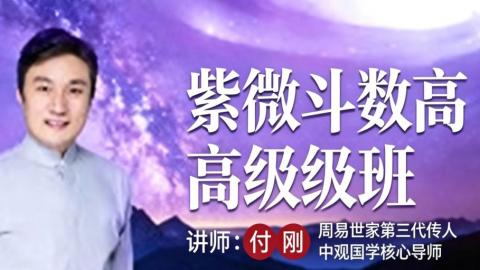 261紫微高级研修班-付刚