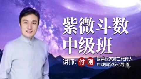 【直播回放】262紫微斗数中级班-付刚