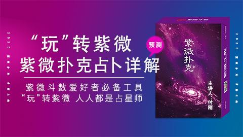 视频公开课-紫微斗数-紫微牌，带你轻松入门紫微-付刚-2零基础，也能快速掌握的紫微牌预测方法