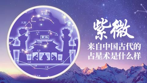 紫微斗数的基础入门-紫微斗数的基本参数